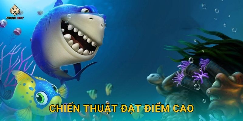 Fishing World toàn cầu – Chinh phục đại dương tại Sb365 3 Chiến thuật đạt điểm cao