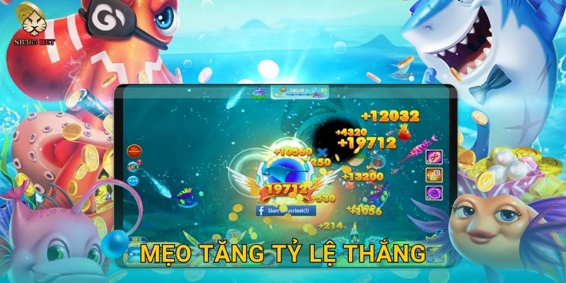 Fishing Mania sôi động – Cuộc chiến đại dương thú vị tại Sb365 3 Mẹo tăng tỷ lệ thắng
