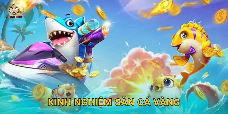 Golden Fish Hunter huyền thoại – Săn cá vàng siêu thưởng tại Sb365 3 Kinh nghiệm săn cá vàng