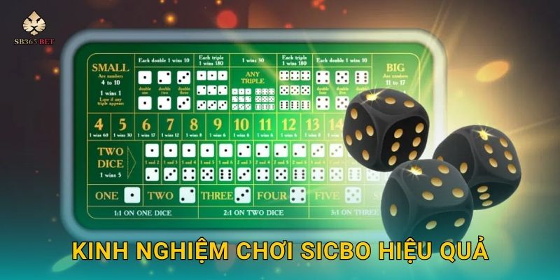 Sicbo đa dạng cược – Khám phá chiến lược thắng lớn tại Sb365 3 Kinh nghiệm chơi sicbo hiệu quả