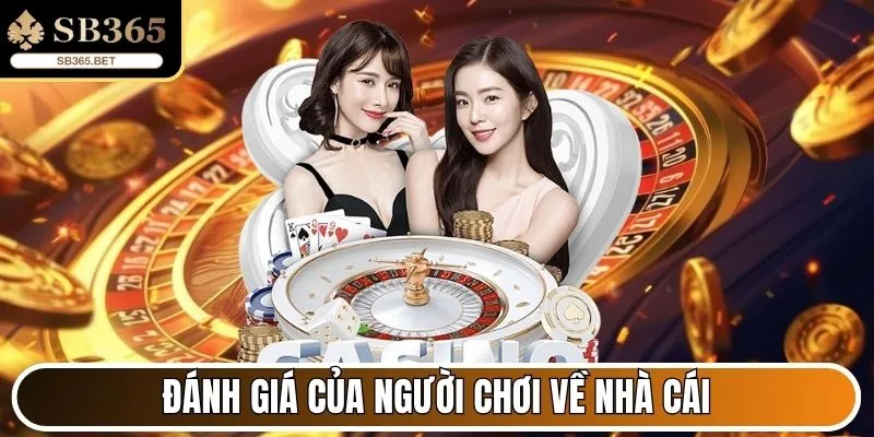 Sb365 - Nhà Cái Trực Tuyến Uy Tín Dẫn Đầu Thị Trường 2025 33 Đánh giá của người chơi về nhà cái trực tuyến Sb365