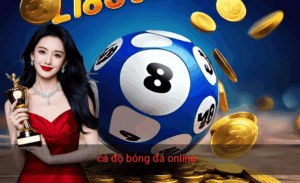 Cá độ bóng đá online